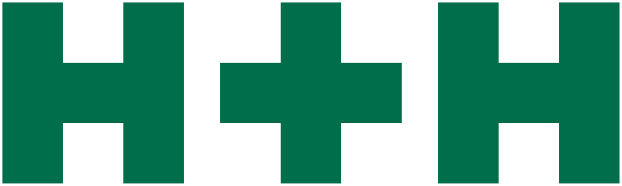 H+H International logo
