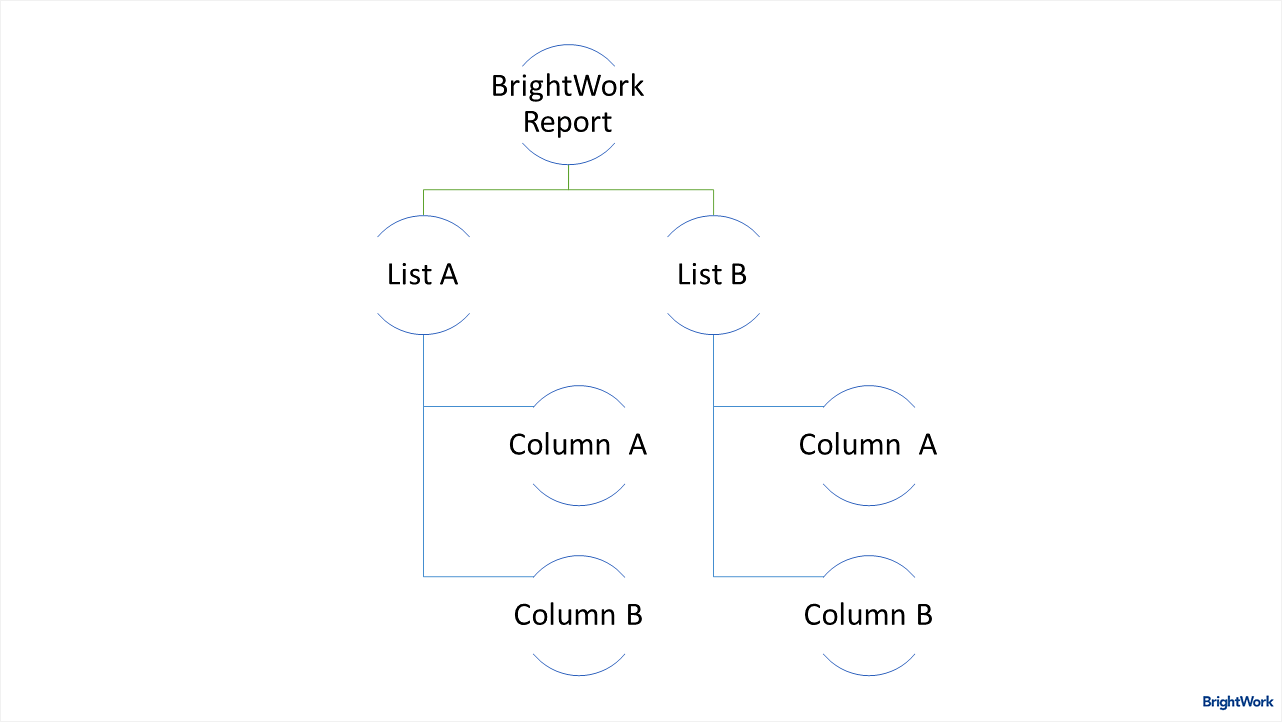 BrightWork Reporter 