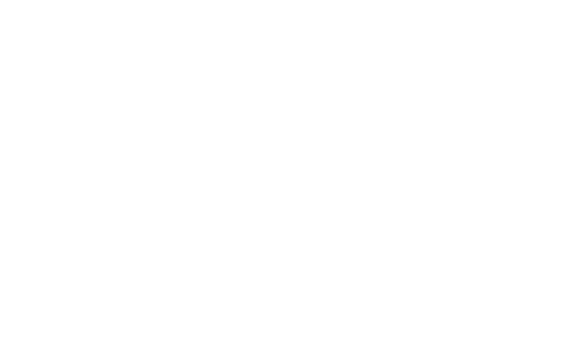 Guides and E-Books