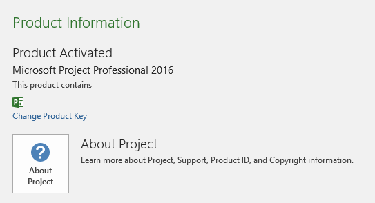 Microsoft Project Version