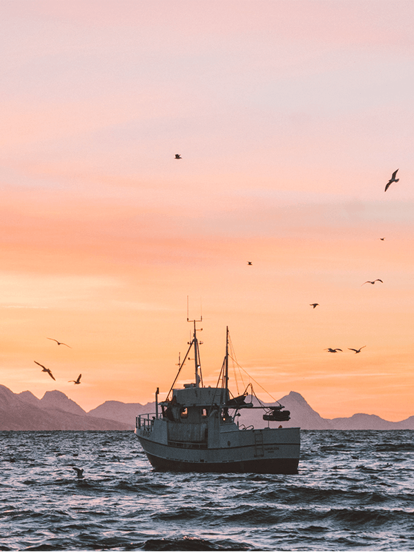 Silver Bay Client Testimonials