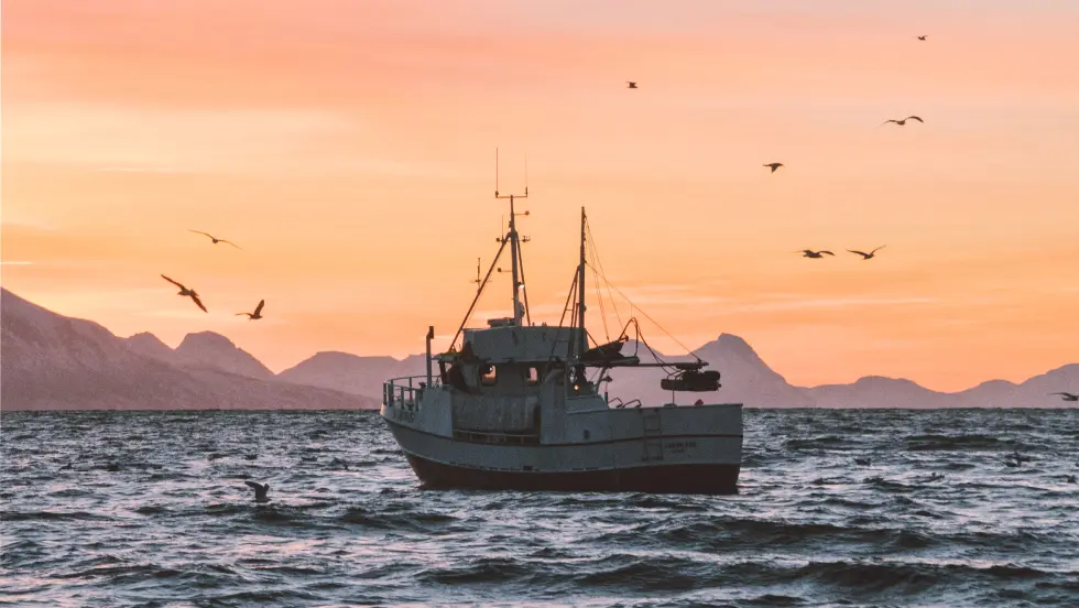 SilverBay Seafoods