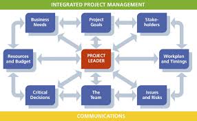 integrated project management