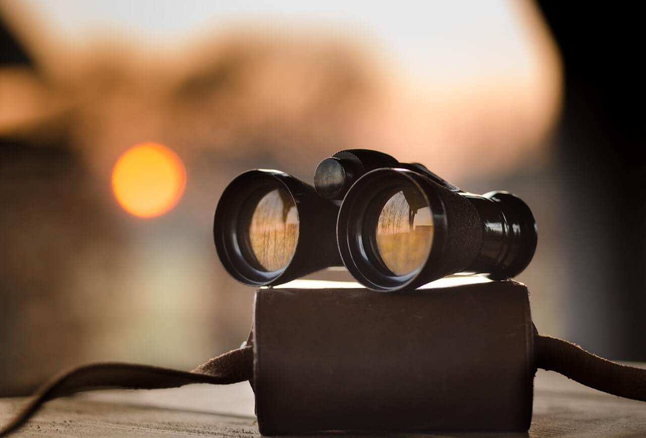 project visibility